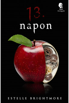 13. napon (e-könyv)