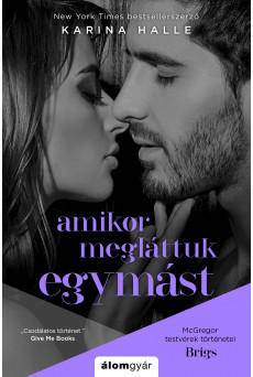 Amikor megláttuk egymást (e-könyv)