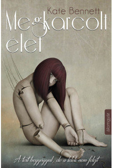 Megkarcolt élet (e-könyv)