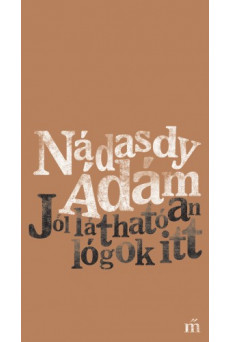 Jól láthatóan lógok itt (e-könyv)