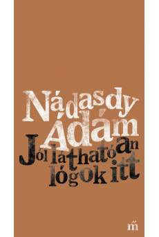 Jól láthatóan lógok itt