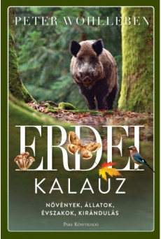 Erdei kalauz - Növények, állatok, évszakok, kirándulás (e-könyv)