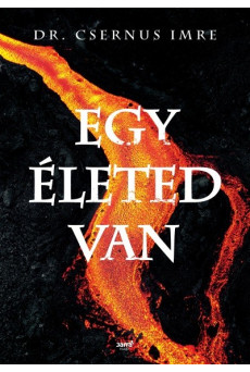 Egy életed van