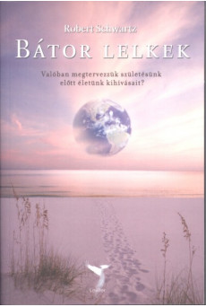 Bátor lelkek - Valóban megtervezzük születésünk előtt életünk kihívásait?