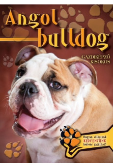 Angol bulldog - Gazdiképző kisokos
