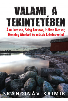 Valami a tekintetében - Svéd kriminovellák (e-könyv)