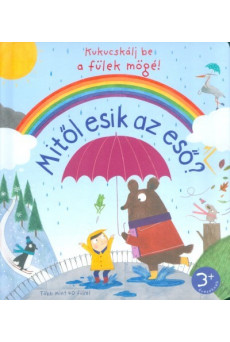 Mitől esik az eső?