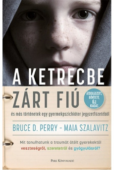 A ketrecbe zárt fiú - és más történetek egy gyerekpszichiáter jegyzetfüzetéből (2. kiadás)