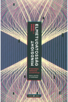 Mindsight - Elmetudatosság /A személyes átalakulás új tudománya - Bepillantás a terápiába