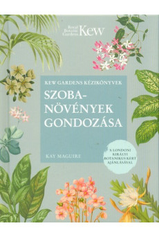 Szobanövények gondozása