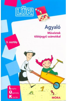 Agyaló 3. osztály - Műveletek többjegyű számokkal /LÜK