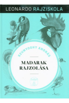 Madarak rajzolása - Leonardo rajziskola 5.