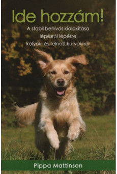 Ide hozzám! - A stabil behívás kialakítása lépésről lépésre kölyök- és felnőtt kutyáknál