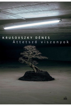 Áttetsző viszonyok