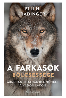 A farkasok bölcsessége - Mire taníthatnak bennünket a vadon lakói?