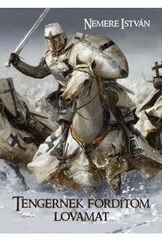 Tengernek fordítom lovamat