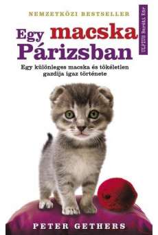 Egy macska Párizsban - Egy különleges macska és tökéletlen gazdija igaz története