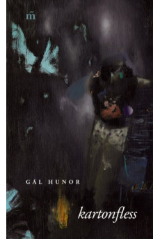 kartonfless (e-könyv)