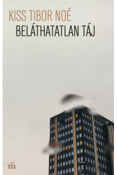 Beláthatatlan táj (e-könyv)