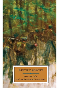 KÉT TŰZ KÖZÖTT /MAGYAR ÍRÓK ELSŐ VILÁGHÁBORÚS NOVELLÁI