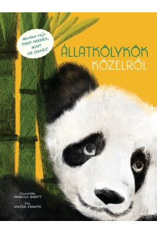 Állatkölykök közelről