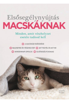 Elsősegélynyújtás macskáknak