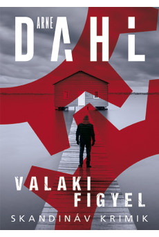 Valaki figyel (e-könyv)