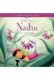 Nadin és a varázstégely - A virágtündérek titkai 3.