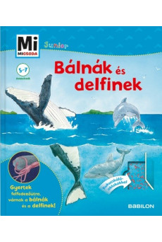 Bálnák és delfinek