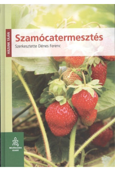 Szamócatermesztés /Házunk táján
