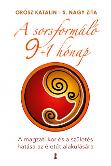 A sorsformáló 9+1 hónap (e-könyv)