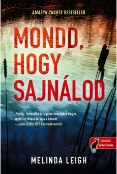 Mondd, hogy sajnálod (Morgan Dane 1.) - Morgan Dane