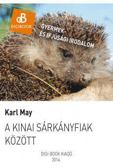 A kínai sárkányfiak közt (e-könyv)
