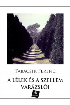 A lélek és a szellem varázslói (e-könyv)