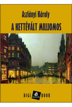 A kettévált milliomos (e-könyv)