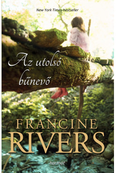 Az utolsó bűnevő (e-könyv)