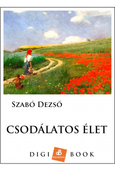 Csodálatos élet (e-könyv)