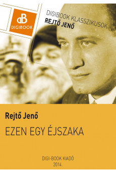 Ezen egy éjszaka (e-könyv)