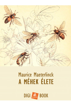 A méhek élete (e-könyv)