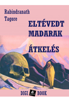 Eltévedt madarak (e-könyv)