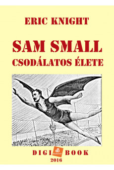 Sam Small csodálatos élete (e-könyv)