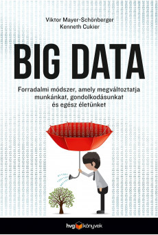 Big Data (e-könyv)