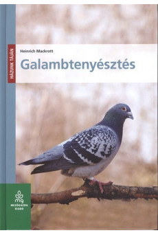 Galambtenyésztés /Házunk táján