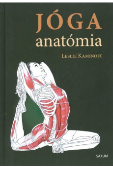 Jóga anatómia