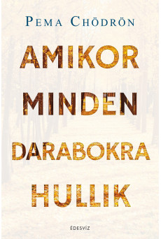 Amikor minden darabokra hullik    (e-könyv)