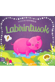 Óvodások akadémiája - Labirintusok