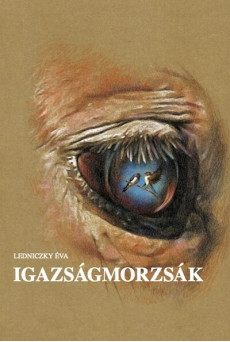 Igazságmorzsák