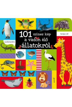 101 színes kép a vadon élő állatokról - A vadon élő állatokról - 101 színes kép