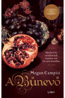 A bűnevő (e-könyv)