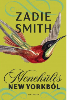 Menekülés New Yorkból (e-könyv)